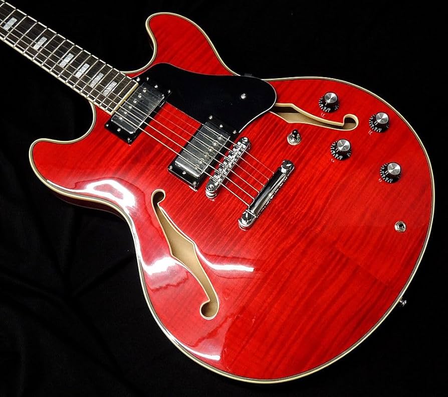 Amazon | Sire Larry Carlton H7 STR サイアー ラリーカールトン
